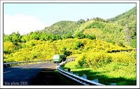 pleiku 1