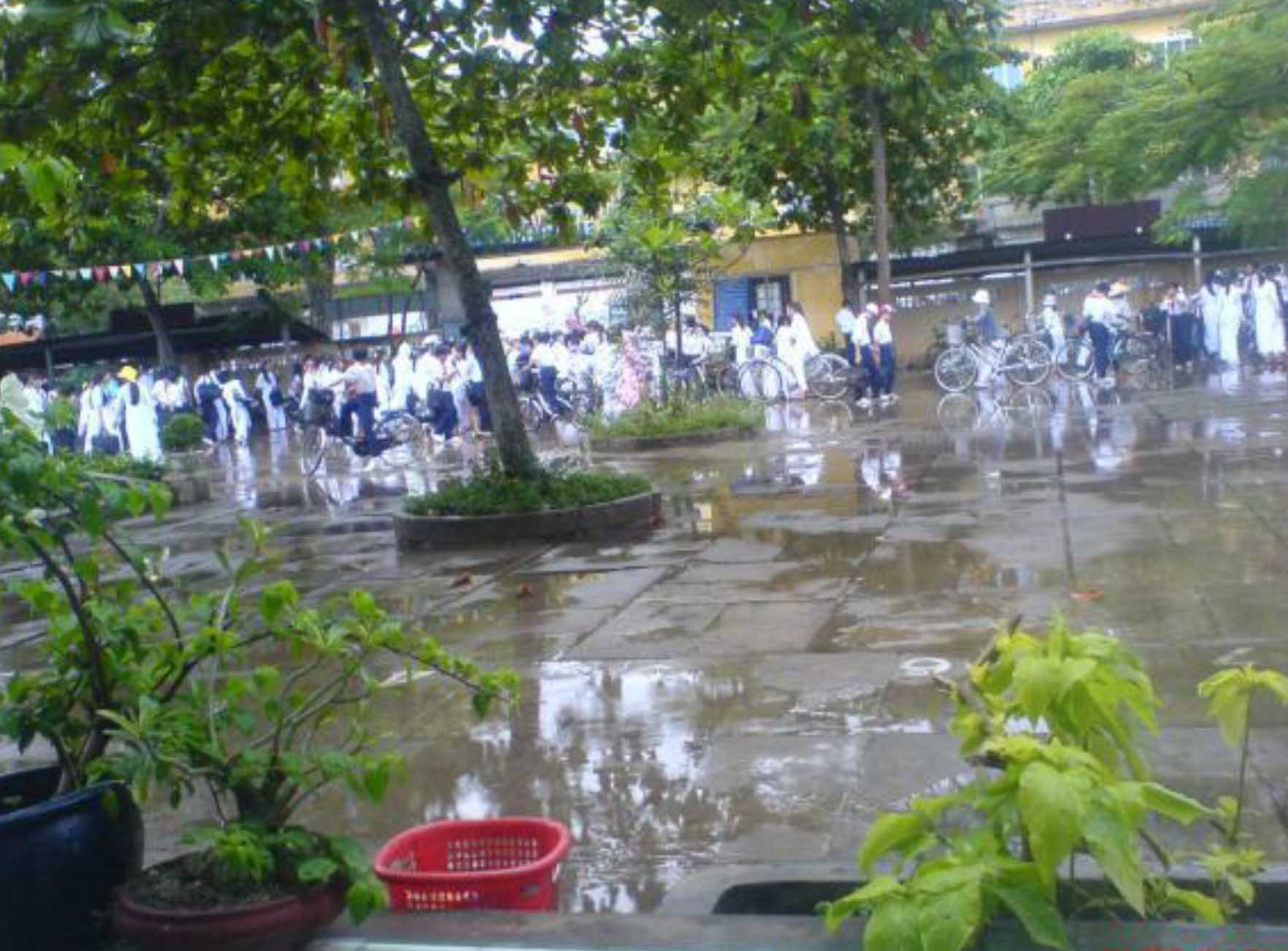 hình ảnh quê nhà 1