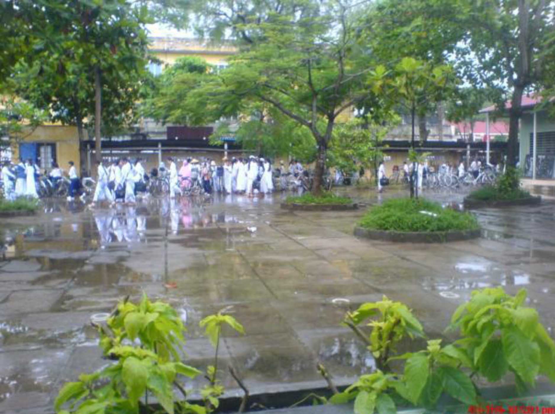 hình ảnh quê nhà 2