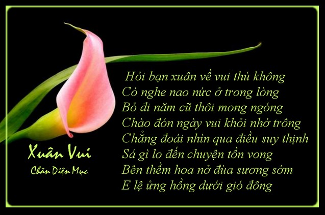 xuanvui