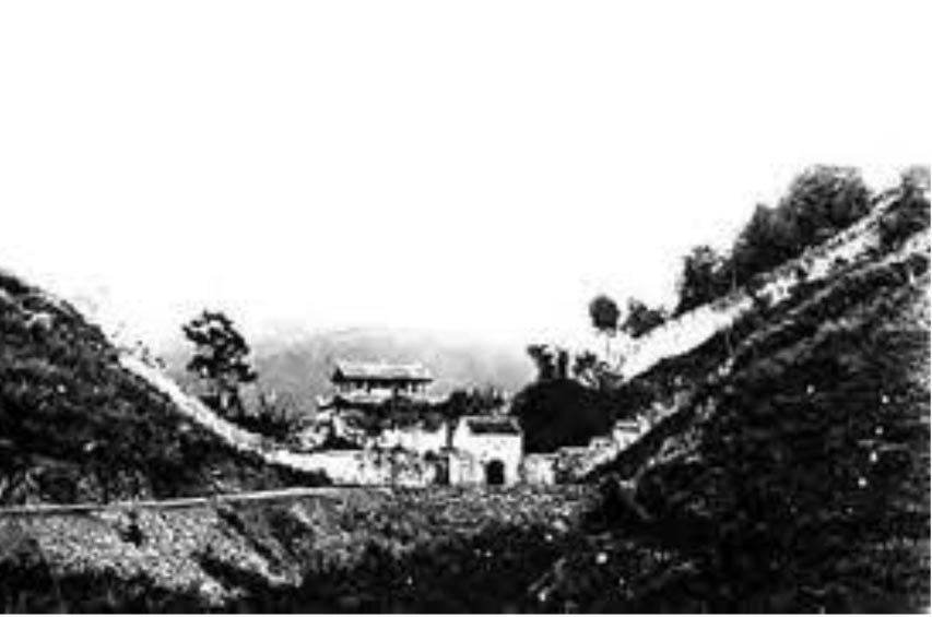nguyentrai