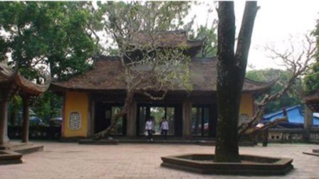 nguyentrai