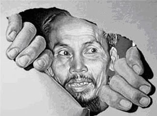VN ve dau